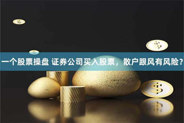 一个股票操盘 证券公司买入股票，散户跟风有风险？